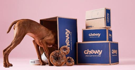 What does your pet need right now?
